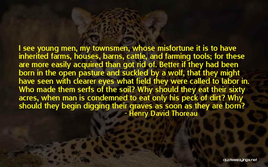Vanover Management Quotes By Henry David Thoreau Vanover Management Quotes By Henry David Thoreau