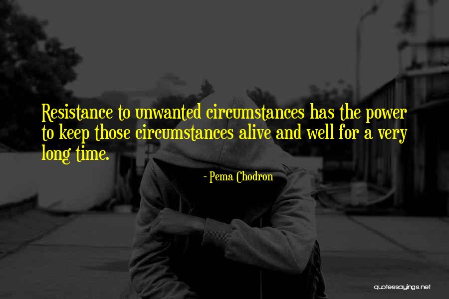 Vansadia Dharmpal V Quotes By Pema Chodron Vansadia Dharmpal V Quotes By Pema Chodron