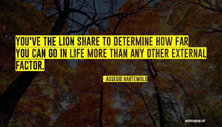 Vanstones Quotes By Assegid Habtewold Vanstones Quotes By Assegid Habtewold