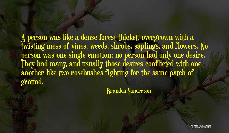 Vanyell Quotes By Brandon Sanderson Vanyell Quotes By Brandon Sanderson