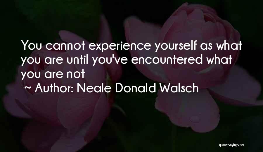 Vao Quotes By Neale Donald Walsch