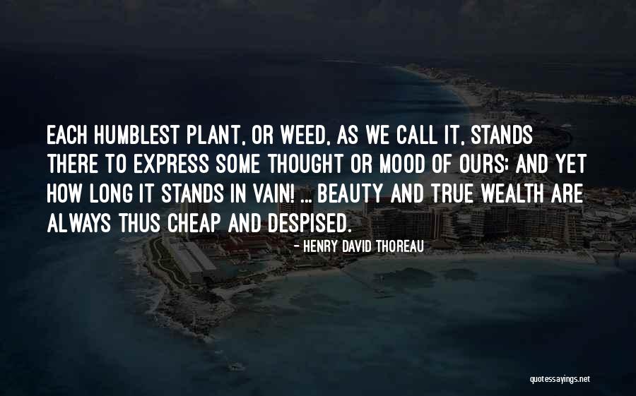 Vapiano Restaurant Quotes By Henry David Thoreau Vapiano Restaurant Quotes By Henry David Thoreau