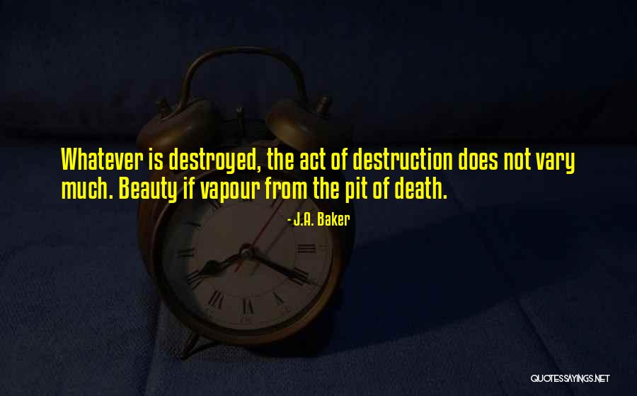 Vapour Quotes By J.A. Baker Vapour Quotes By J.A. Baker