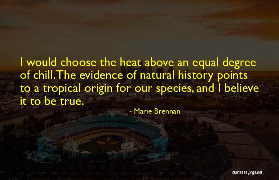 Varaait Quotes By Marie Brennan Varaait Quotes By Marie Brennan