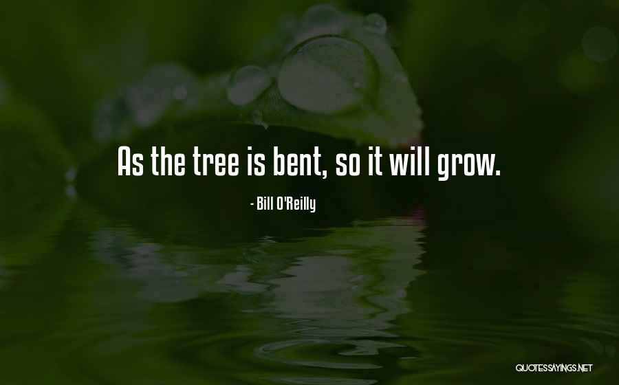Varchar In Sql Quotes By Bill O'Reilly Varchar In Sql Quotes By Bill O'Reilly