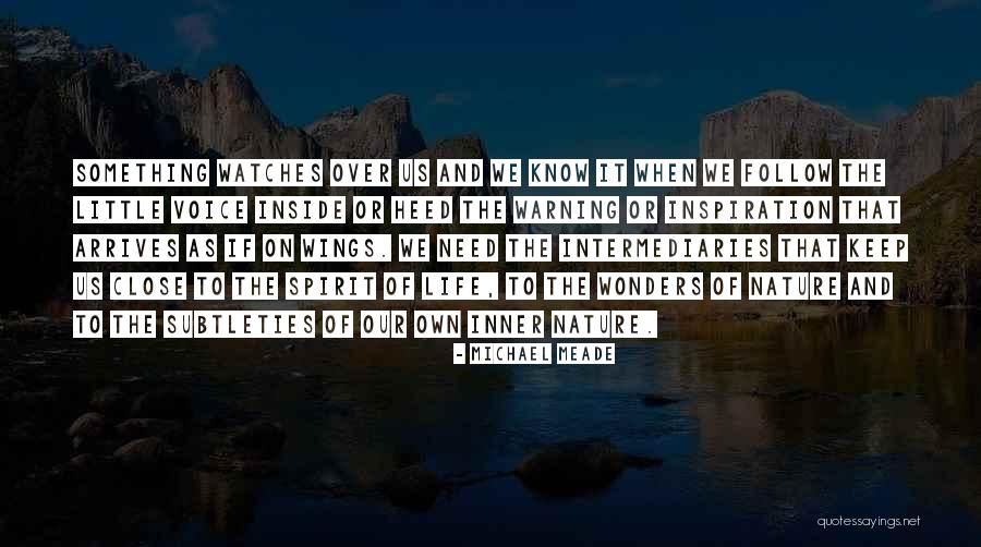 Varcova Dom Zdravlja Quotes By Michael Meade