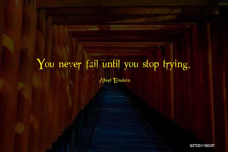Vardell Larson Quotes By Albert Einstein Vardell Larson Quotes By Albert Einstein