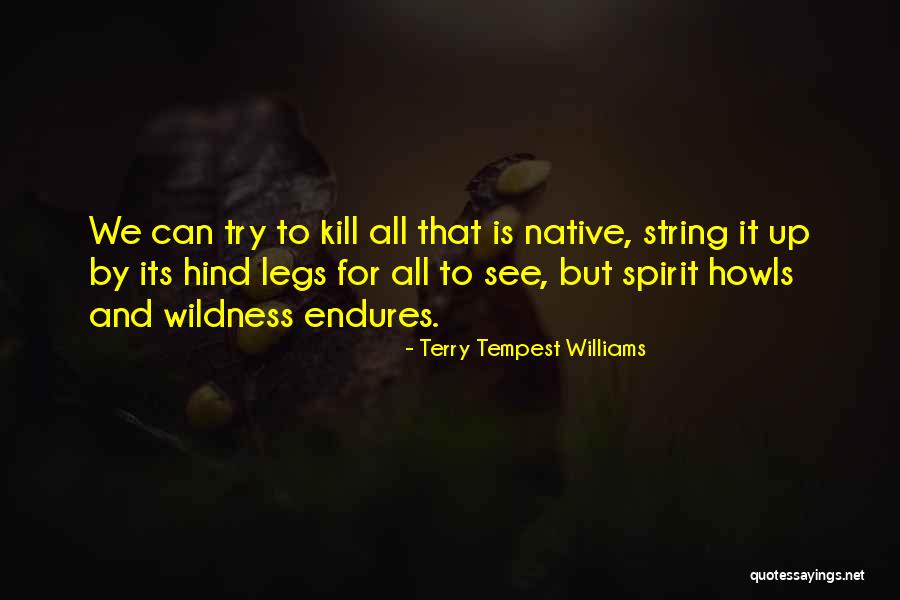 Vardre Quotes By Terry Tempest Williams Vardre Quotes By Terry Tempest Williams