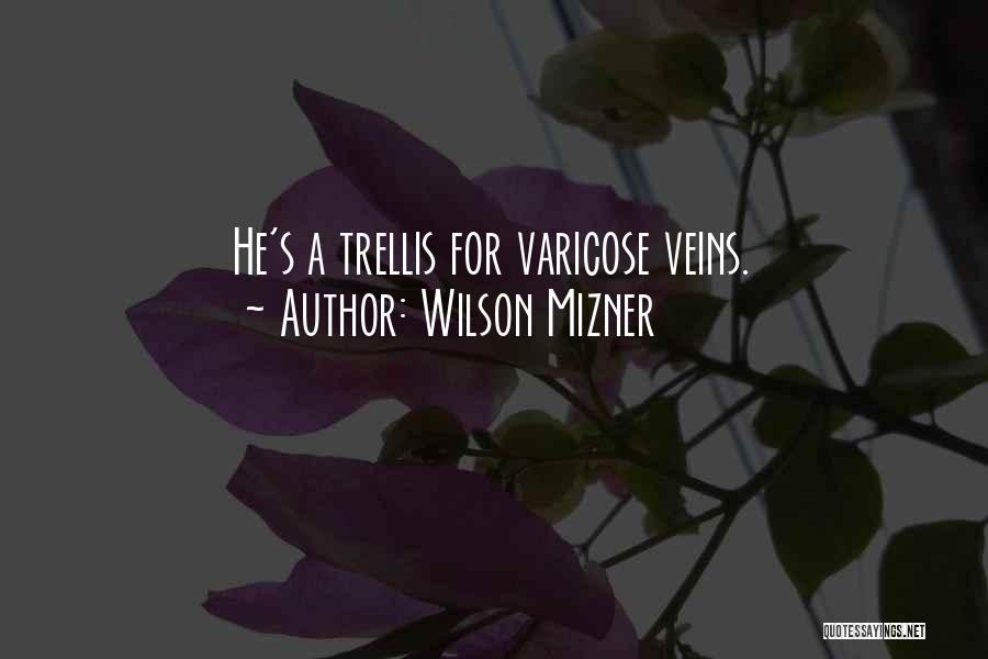 Varicose Veins Quotes By Wilson Mizner