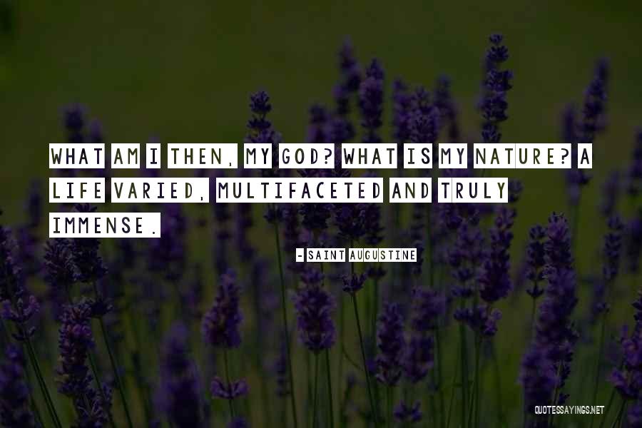 Varied Life Quotes By Saint Augustine Varied Life Quotes By Saint Augustine