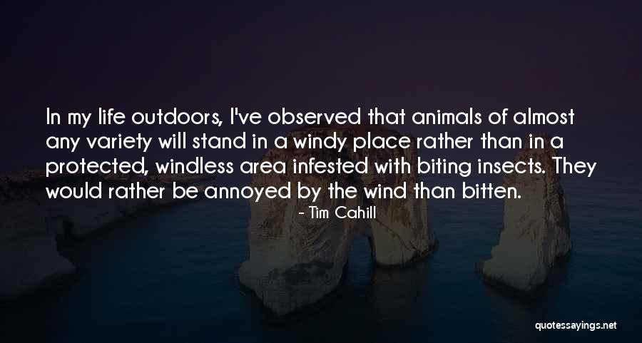 Variety In Life Quotes By Tim Cahill Variety In Life Quotes By Tim Cahill