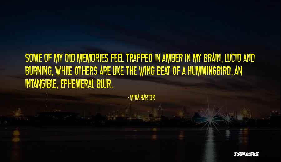 Varig Airlines Quotes By Mira Bartok Varig Airlines Quotes By Mira Bartok