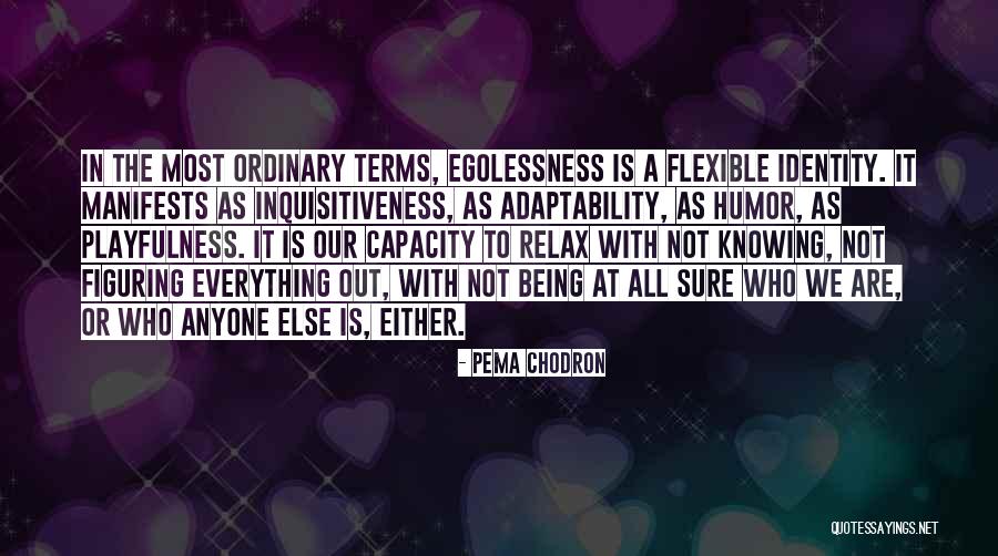 Varkentje Quotes By Pema Chodron Varkentje Quotes By Pema Chodron