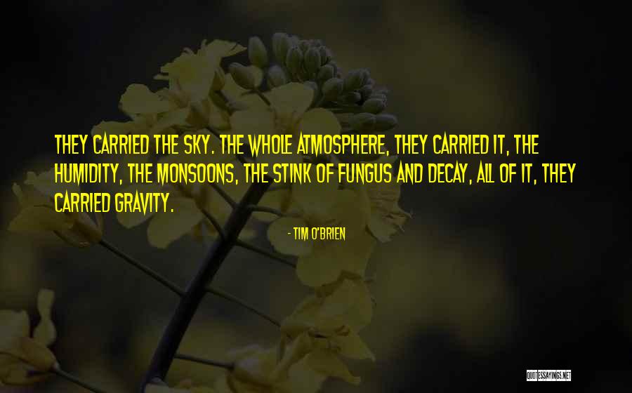 Varljivi Quotes By Tim O'Brien Varljivi Quotes By Tim O'Brien