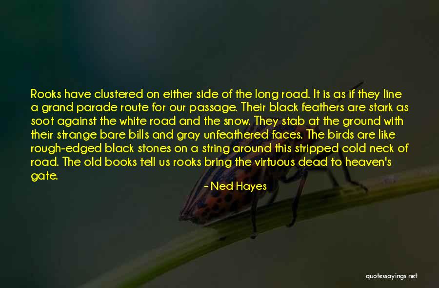 Varnau Ohio Quotes By Ned Hayes Varnau Ohio Quotes By Ned Hayes