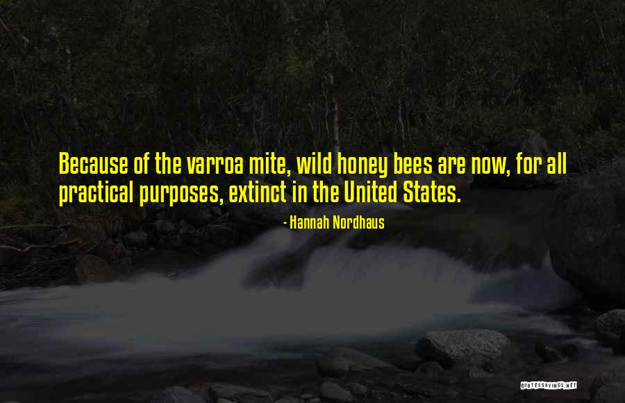 Varroa Mite Quotes By Hannah Nordhaus Varroa Mite Quotes By Hannah Nordhaus