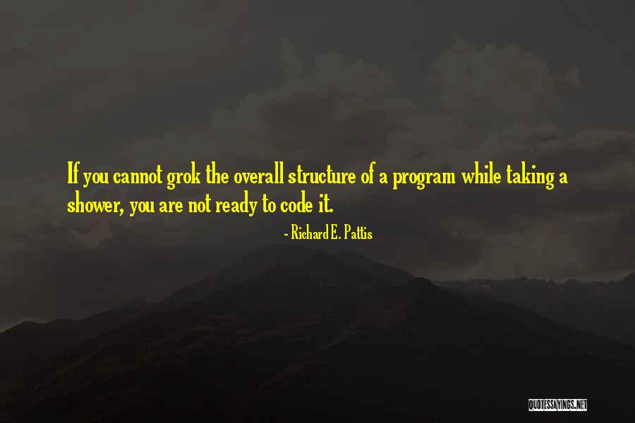 Varshney Shalini Quotes By Richard E. Pattis Varshney Shalini Quotes By Richard E. Pattis