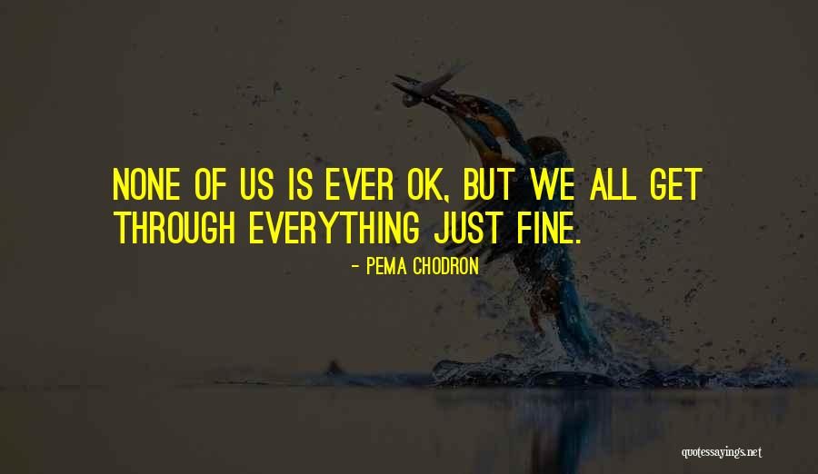 Varus Knee Quotes By Pema Chodron Varus Knee Quotes By Pema Chodron