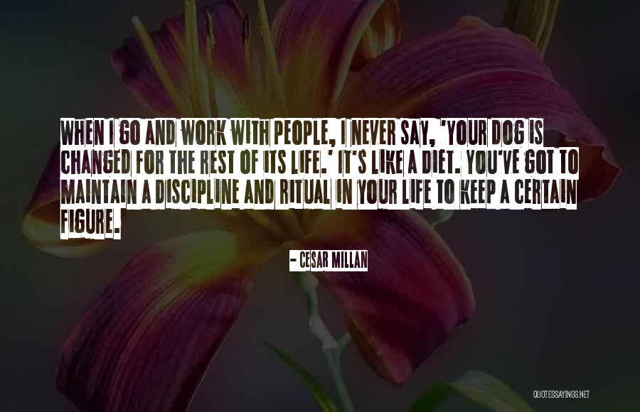Varys Death Quotes By Cesar Millan Varys Death Quotes By Cesar Millan