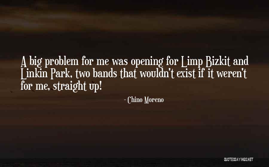 Vas Bunga Quotes By Chino Moreno Vas Bunga Quotes By Chino Moreno
