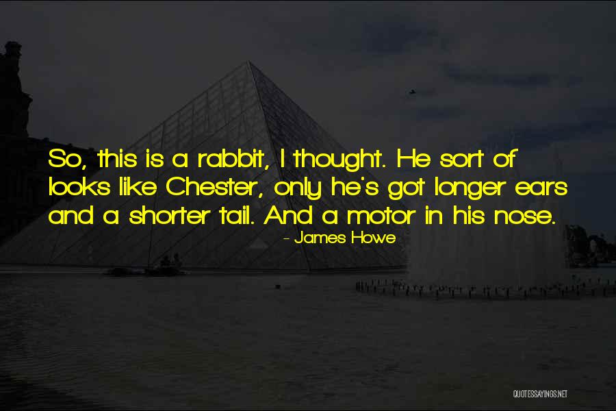 Vasconcelos Nazi Quotes By James Howe Vasconcelos Nazi Quotes By James Howe