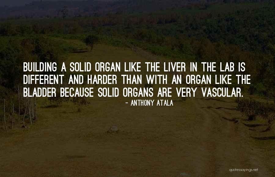 Vascular Quotes By Anthony Atala Vascular Quotes By Anthony Atala