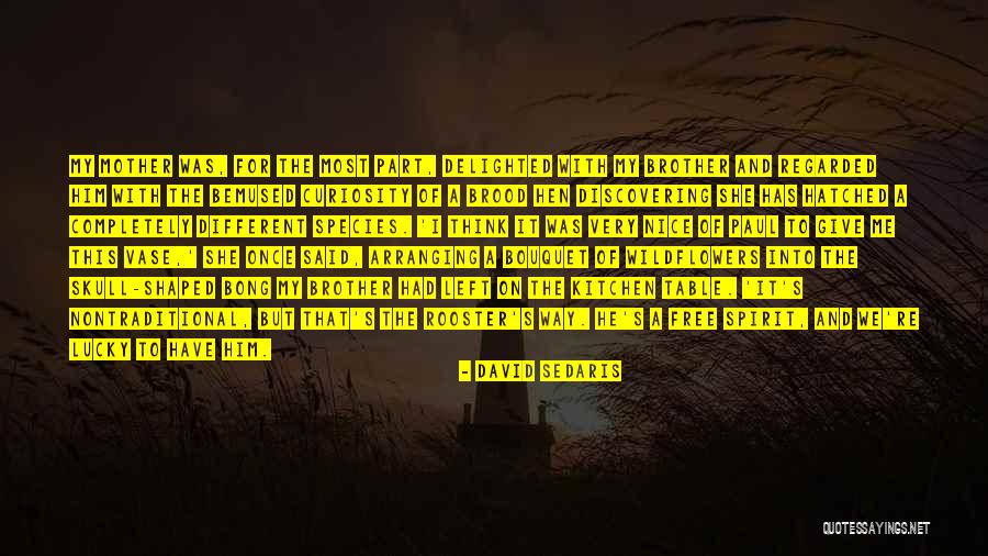 Vase Quotes By David Sedaris Vase Quotes By David Sedaris