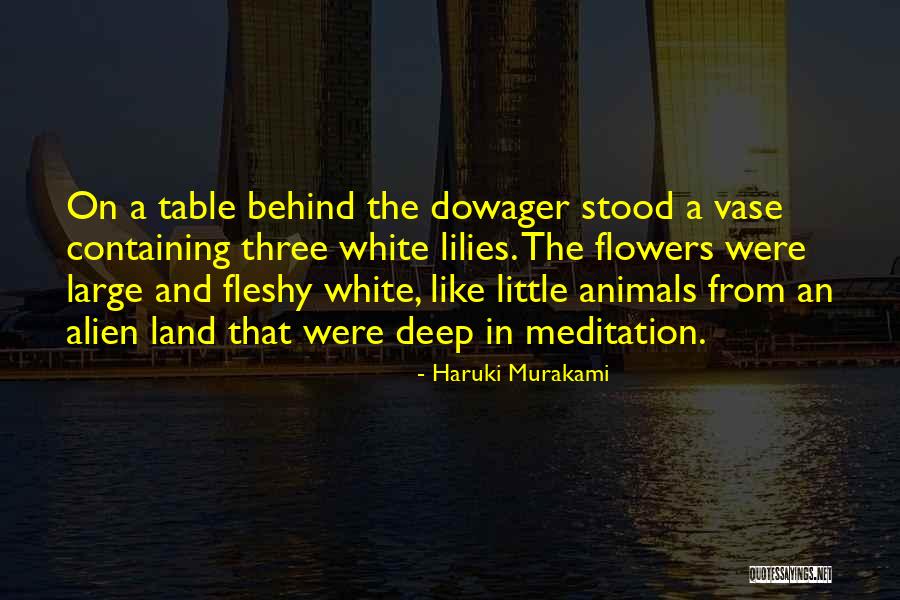 Vase Quotes By Haruki Murakami Vase Quotes By Haruki Murakami