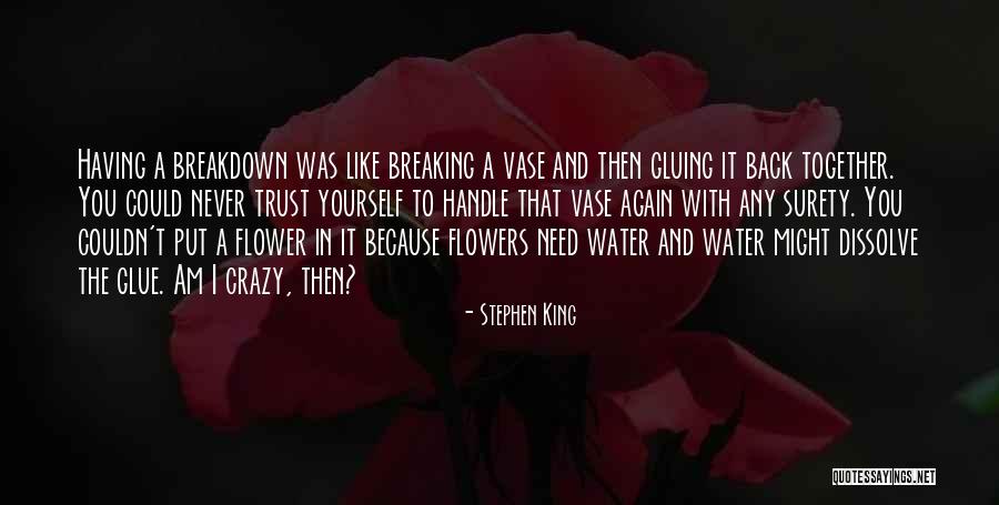 Vase Quotes By Stephen King Vase Quotes By Stephen King