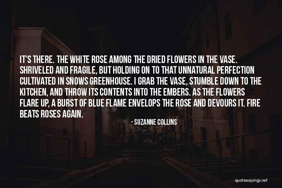 Vase Quotes By Suzanne Collins Vase Quotes By Suzanne Collins