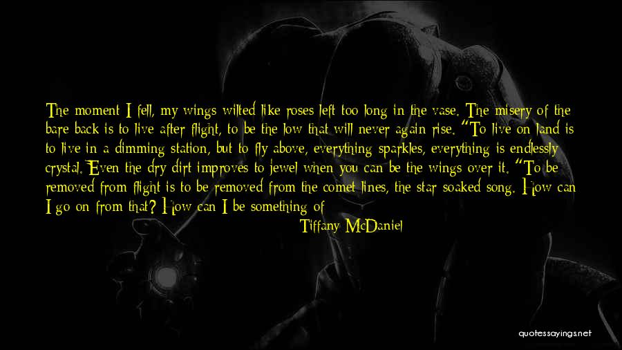 Vase Quotes By Tiffany McDaniel Vase Quotes By Tiffany McDaniel