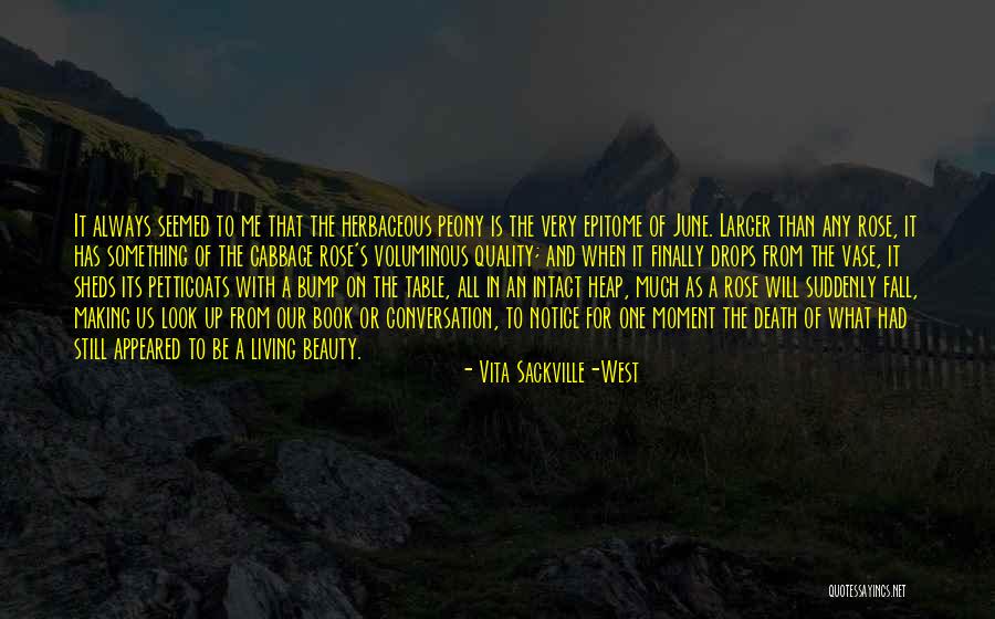 Vase Quotes By Vita Sackville-West Vase Quotes By Vita Sackville-West