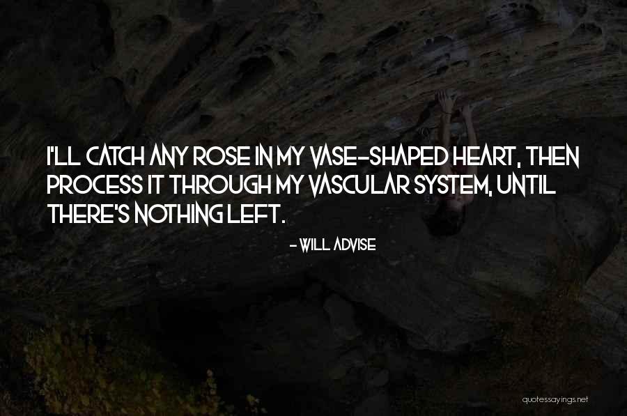 Vase Quotes By Will Advise Vase Quotes By Will Advise