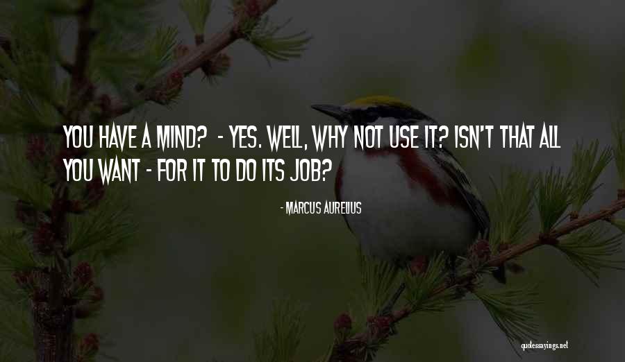 Vashtie Kola Quotes By Marcus Aurelius Vashtie Kola Quotes By Marcus Aurelius