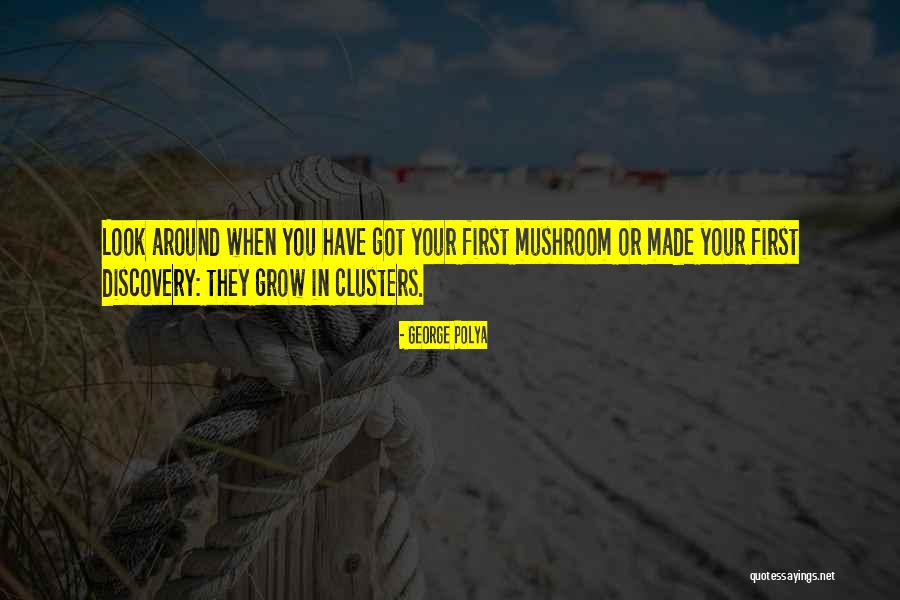 Vasilhame Quotes By George Polya Vasilhame Quotes By George Polya