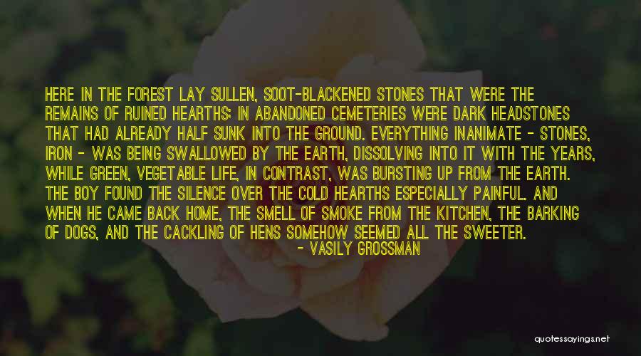 Vasily Quotes By Vasily Grossman Vasily Quotes By Vasily Grossman