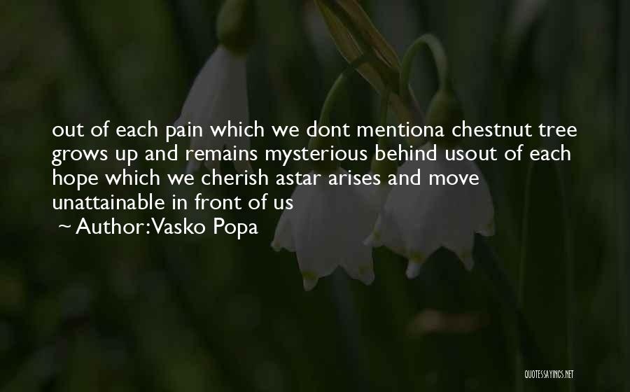 Vasko Popa Quotes 2128974