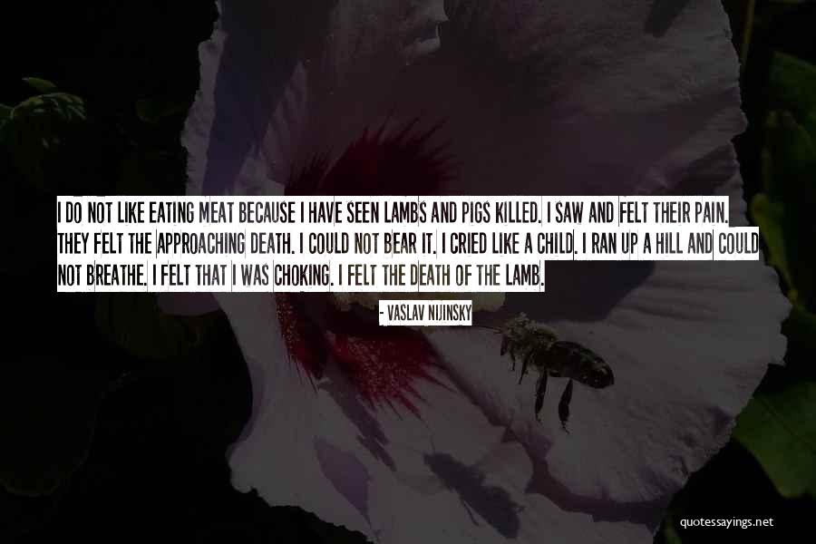 Vaslav Nijinsky Quotes 605951 Vaslav Nijinsky Quotes 605951