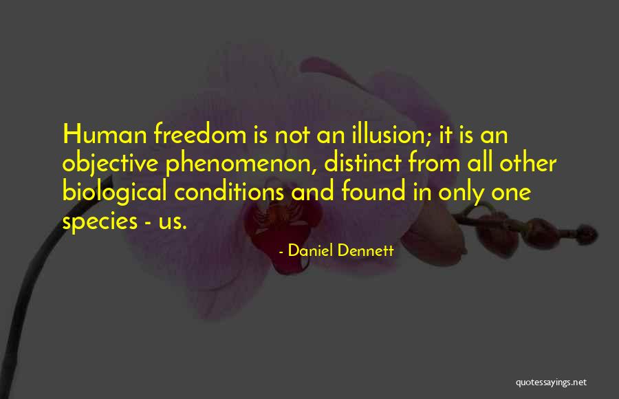 Vasovic Homes Quotes By Daniel Dennett Vasovic Homes Quotes By Daniel Dennett