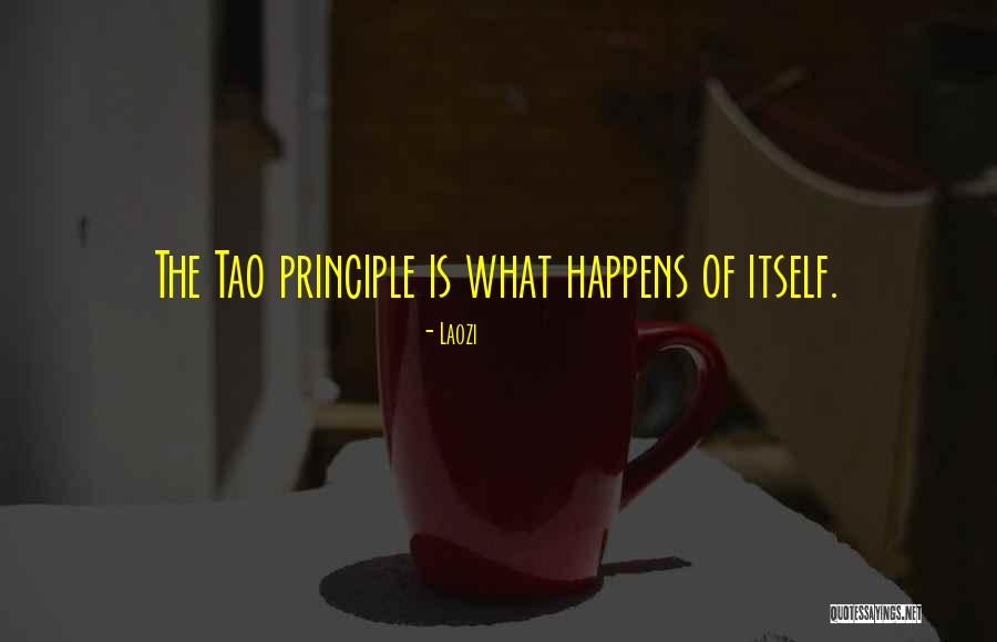 Vassilaros Sons Quotes By Laozi Vassilaros Sons Quotes By Laozi