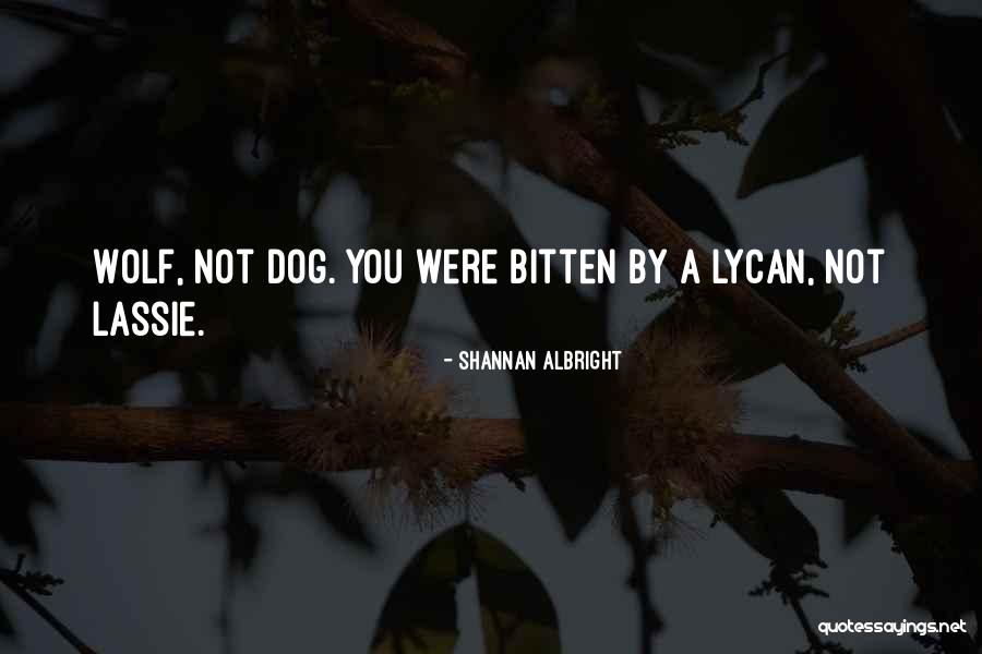 Vassouras Cidade Quotes By Shannan Albright Vassouras Cidade Quotes By Shannan Albright