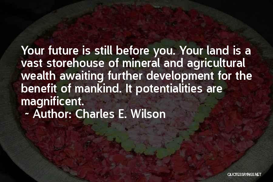 Vast Land Quotes By Charles E. Wilson