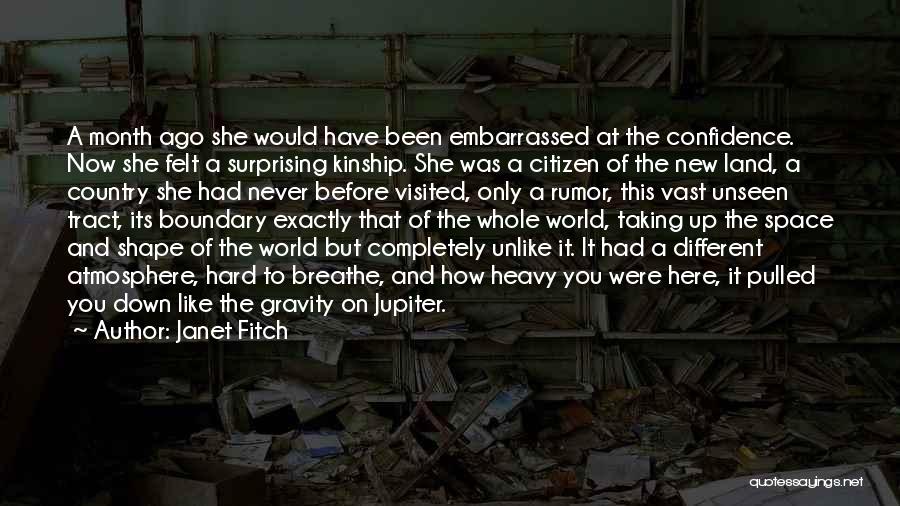 Vast Land Quotes By Janet Fitch