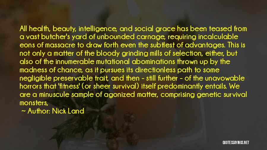 Vast Land Quotes By Nick Land