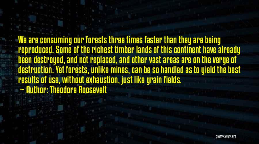 Vast Land Quotes By Theodore Roosevelt