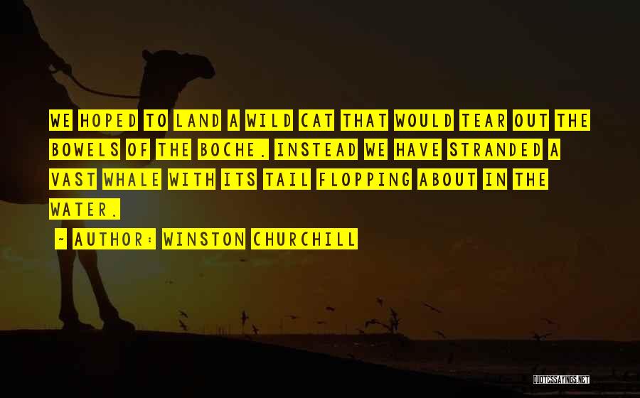 Vast Land Quotes By Winston Churchill