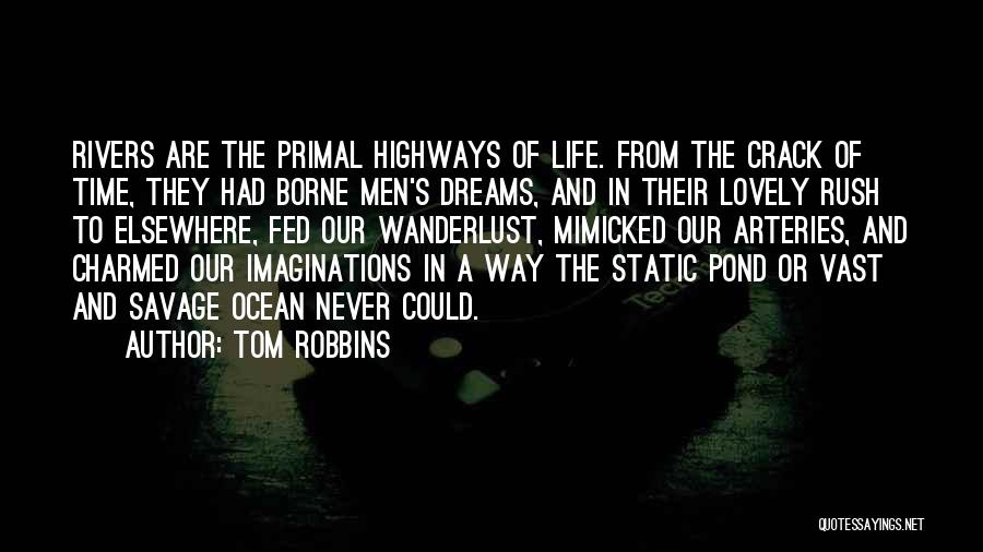 Vast Ocean Quotes By Tom Robbins