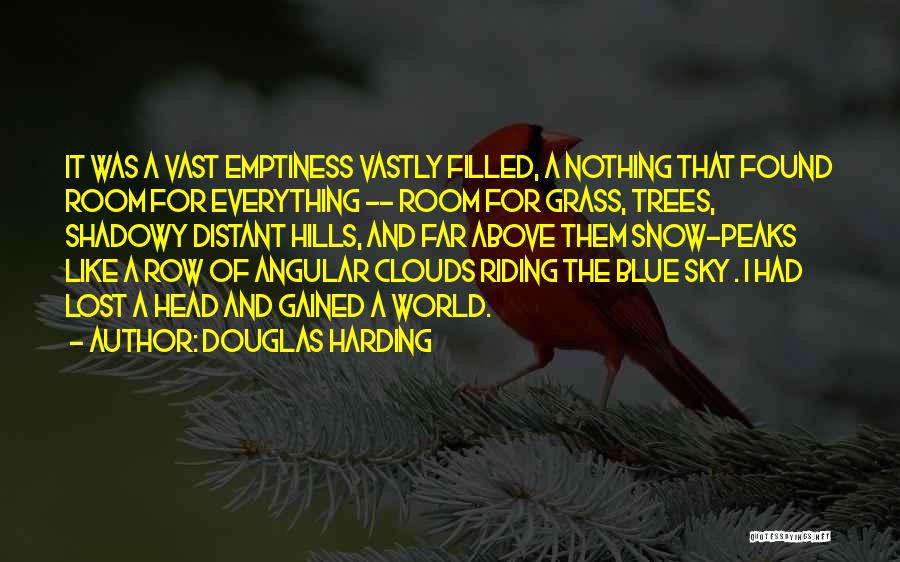 Vast Sky Quotes By Douglas Harding