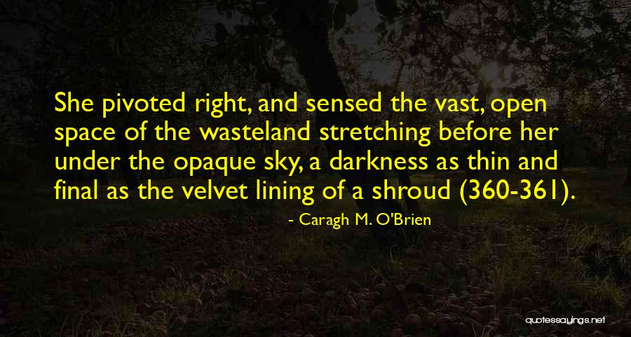 Vast Wasteland Quotes By Caragh M. O'Brien Vast Wasteland Quotes By Caragh M. O'Brien