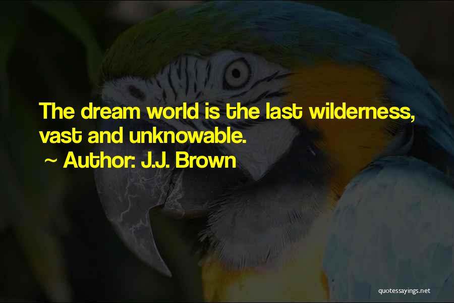 Vast World Quotes By J.J. Brown